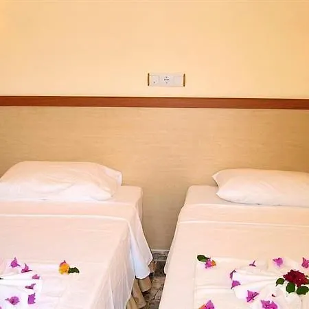 Celik イチュメレール